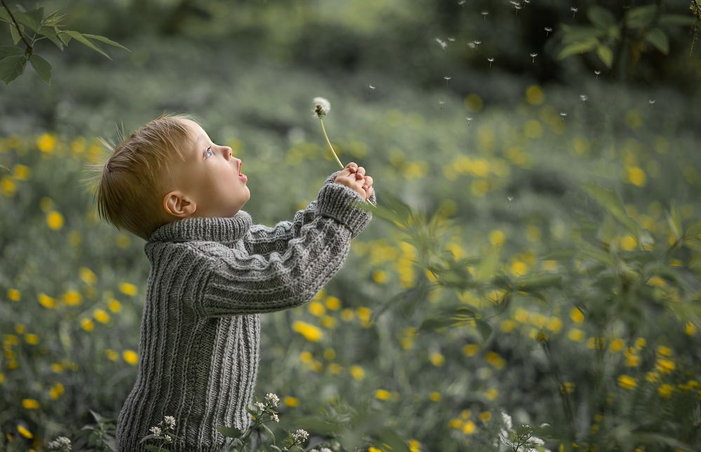 Photograph by Боровикова Анна