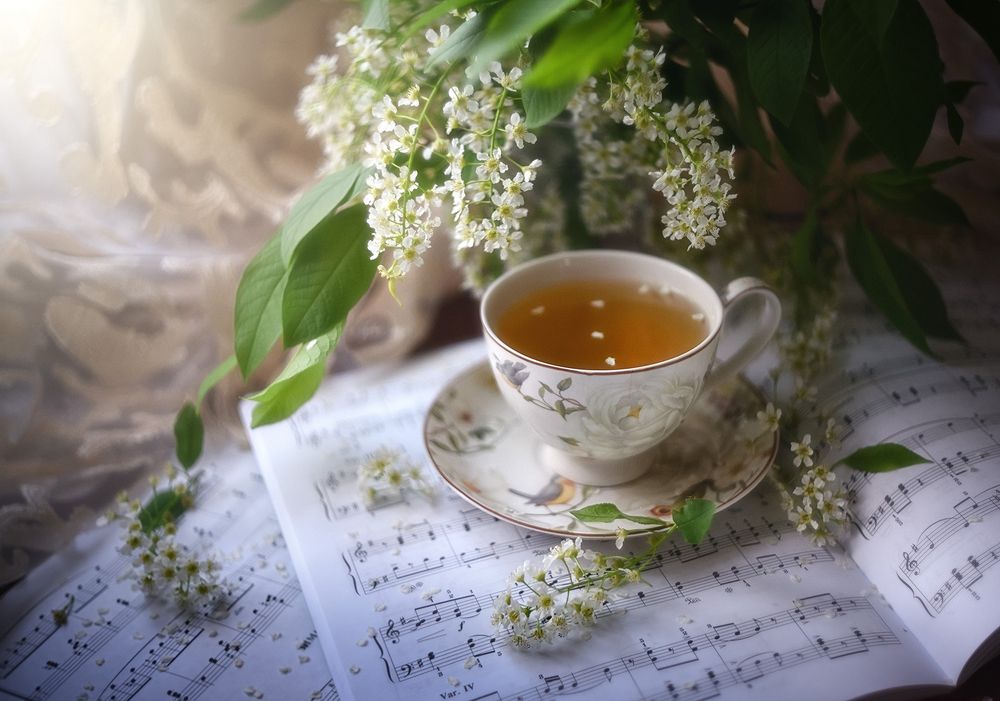 Мелодия весны