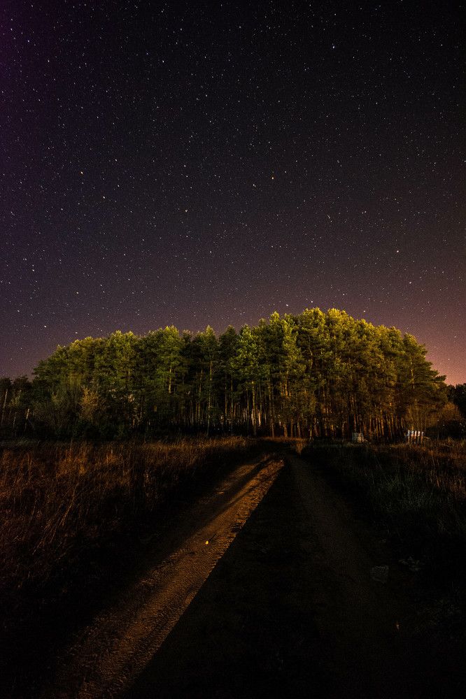 Photograph by Светлана Антипова