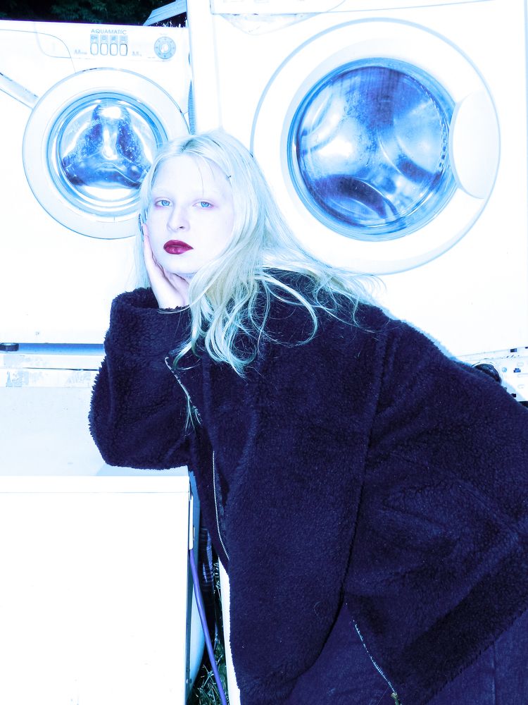 Photo #7795642
