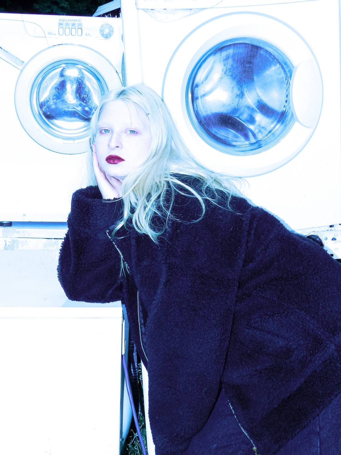 Photo #7795642