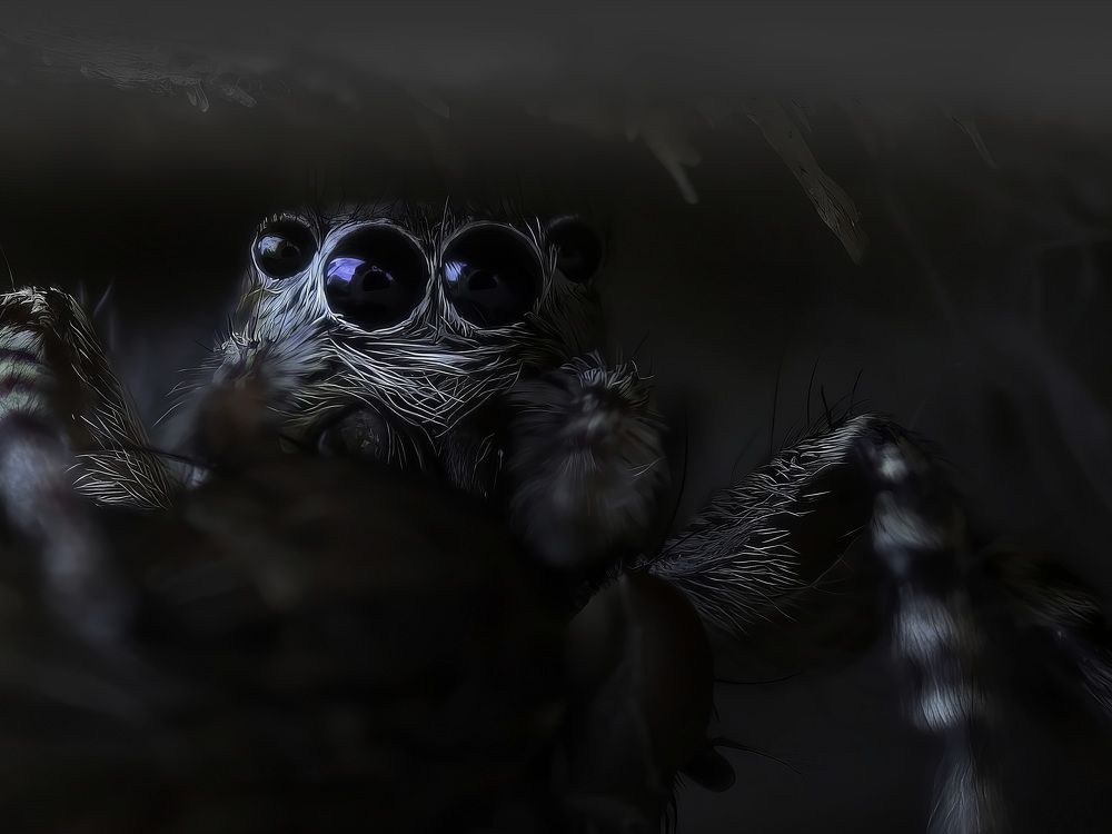 Photograph by Дмитрий Кузнецов