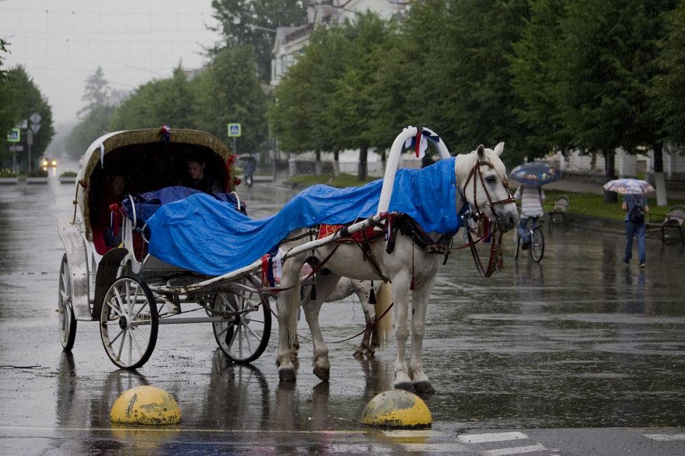 Photograph by Панюшкин Андрей