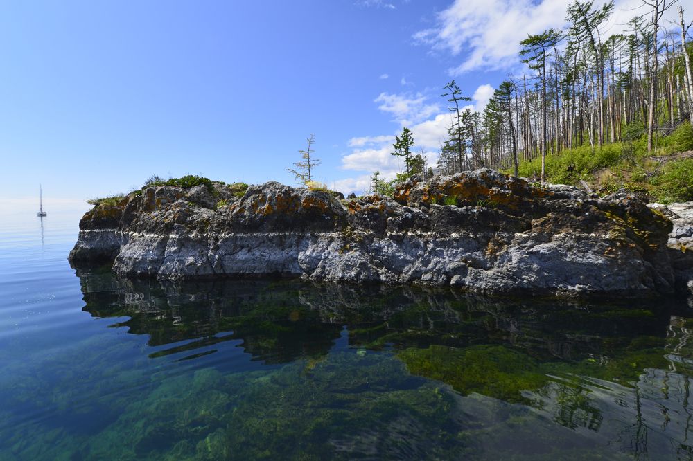 Photograph by Маргарита Фискина