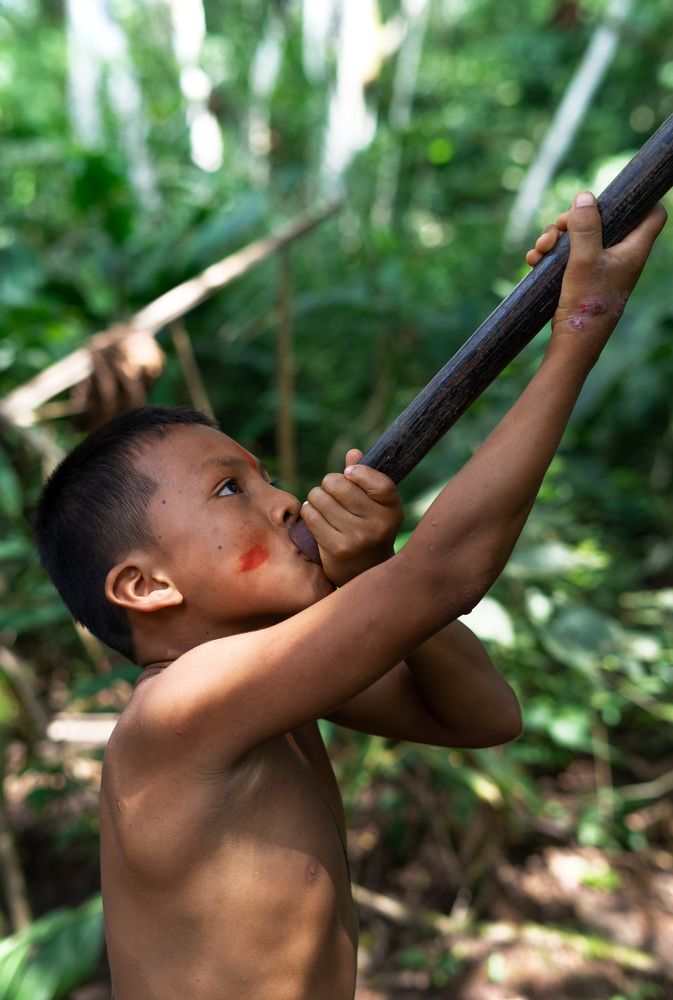 Фотография автора Douglas Solis