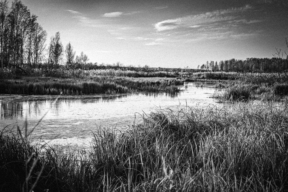 Photograph by Илья Борзенков