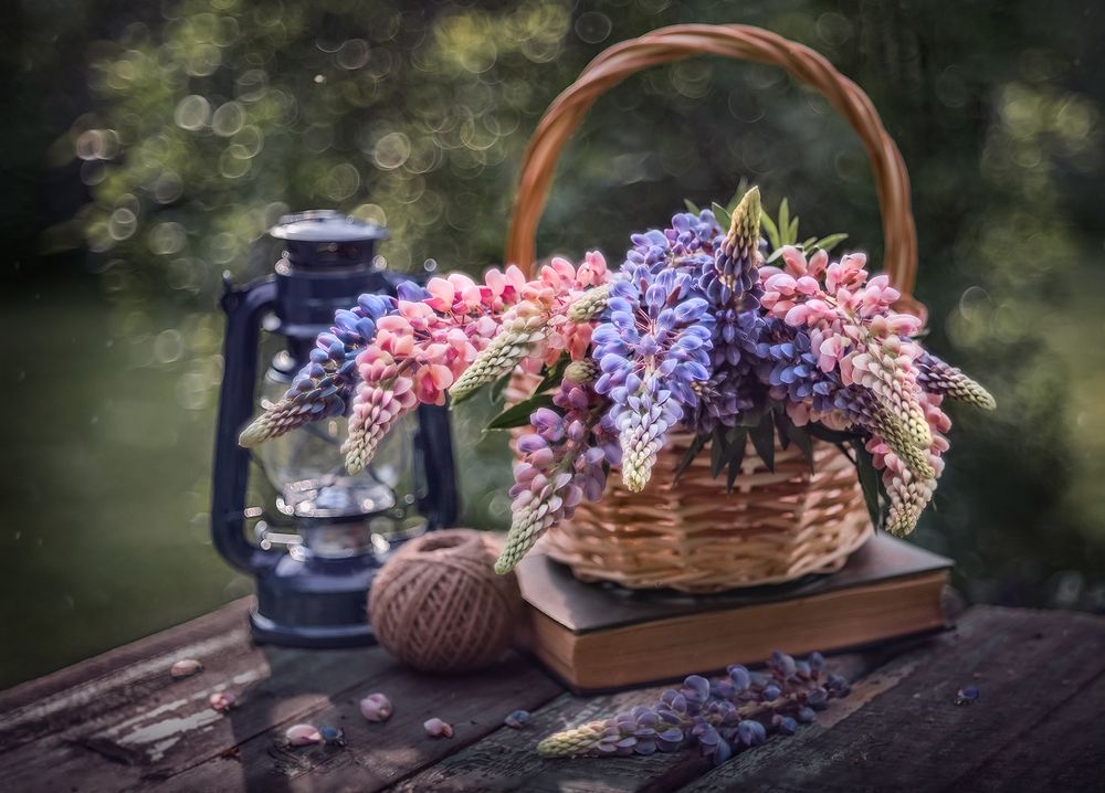 Вечерний свет