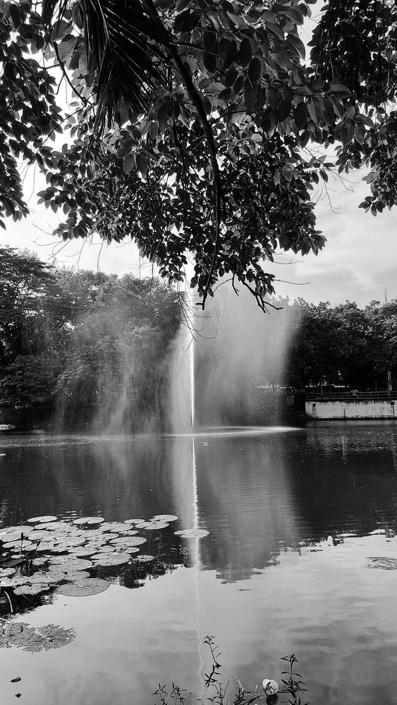 Photograph by Florence Rozario