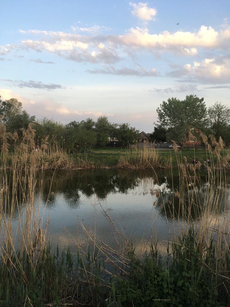 Фотография автора Ксения