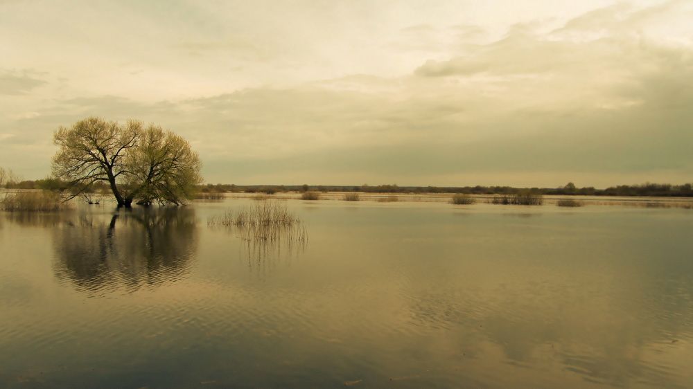 Photograph by Александр Поздняков