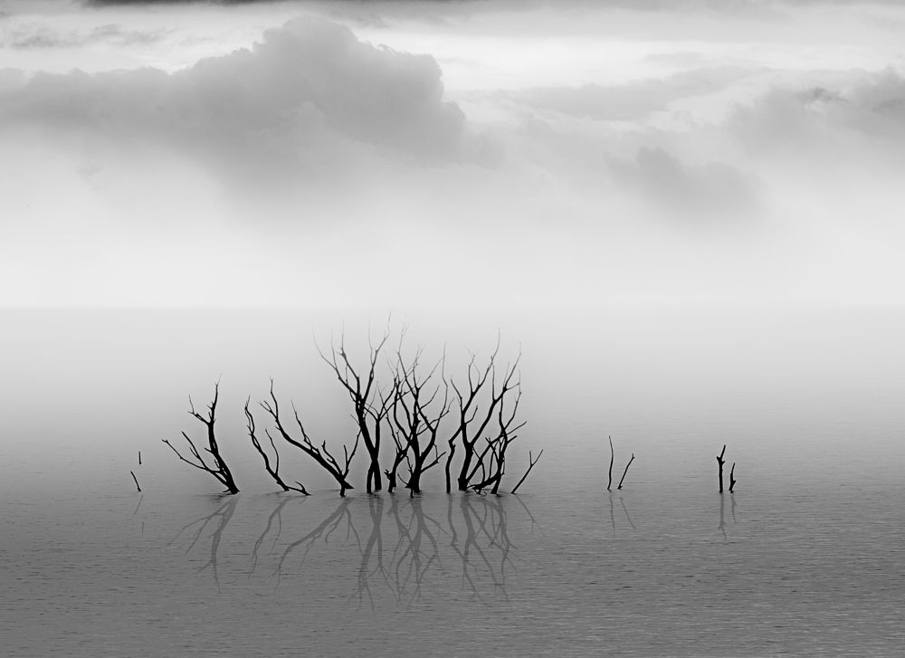 Photograph by Miguel Iglesias