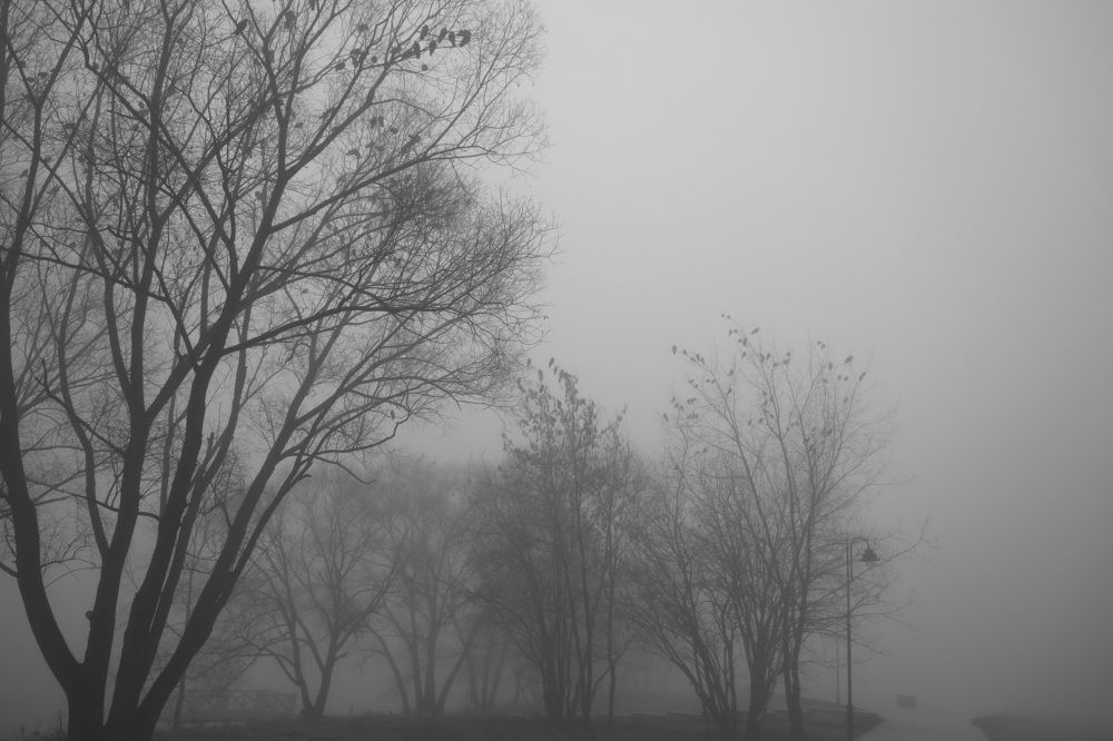 Фотография автора Елена Колосова