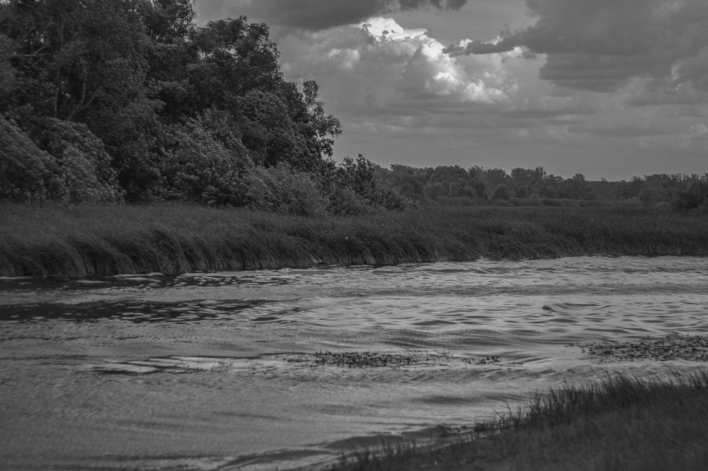 Photograph by Ольга Остапенко