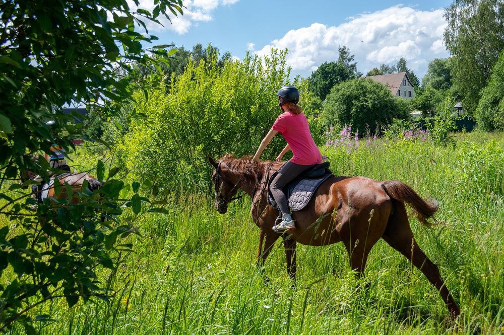 Photograph by Валерий Петухов