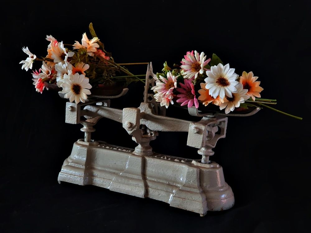 Photograph by Régis Santos