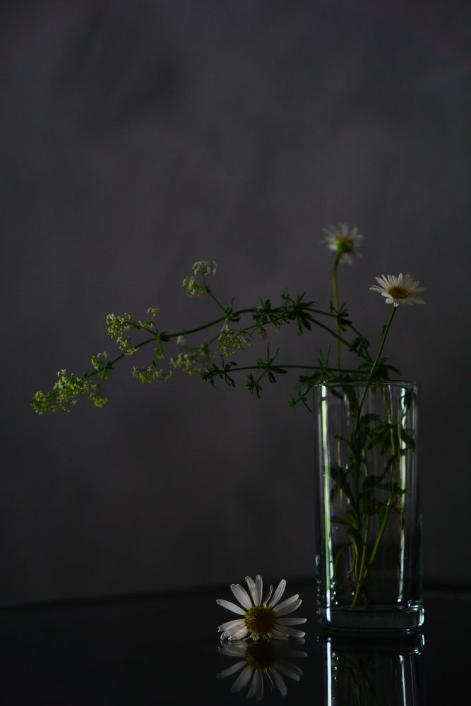 Photograph by Viktoria Vavilkina