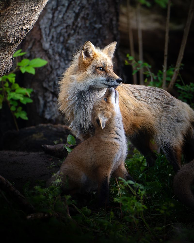 Photograph by Karthik Subramaniam