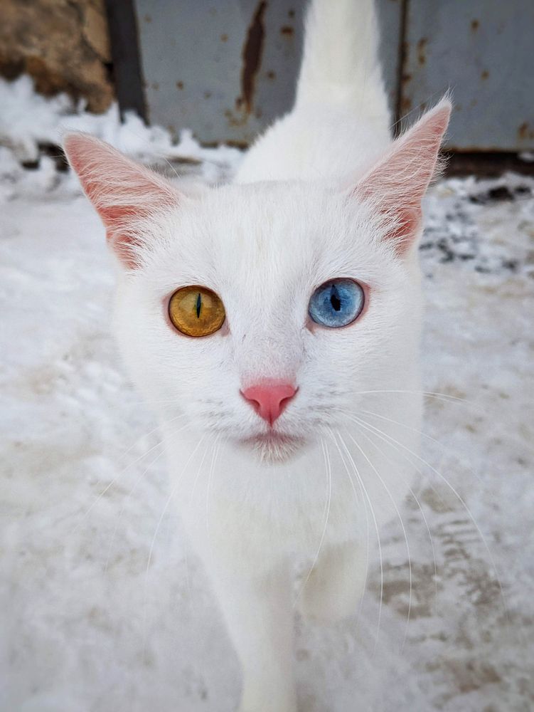 Photograph by Денис Сорокин