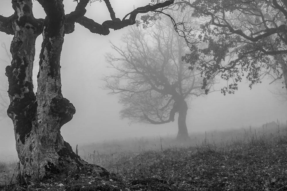 Photograph by Владимир Штыриков