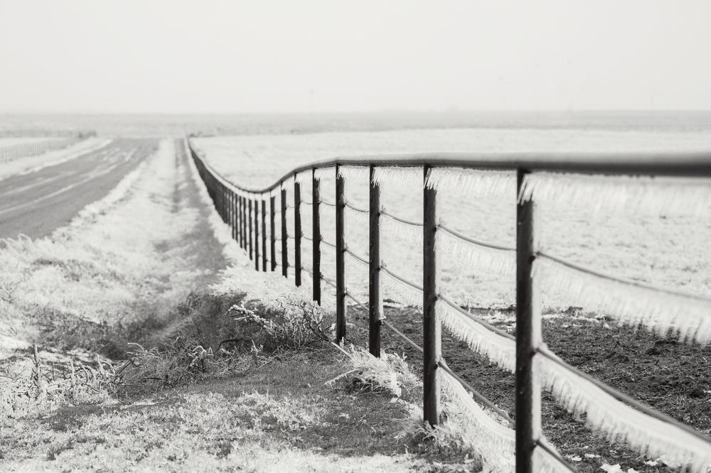 Photograph by Angie Perisse