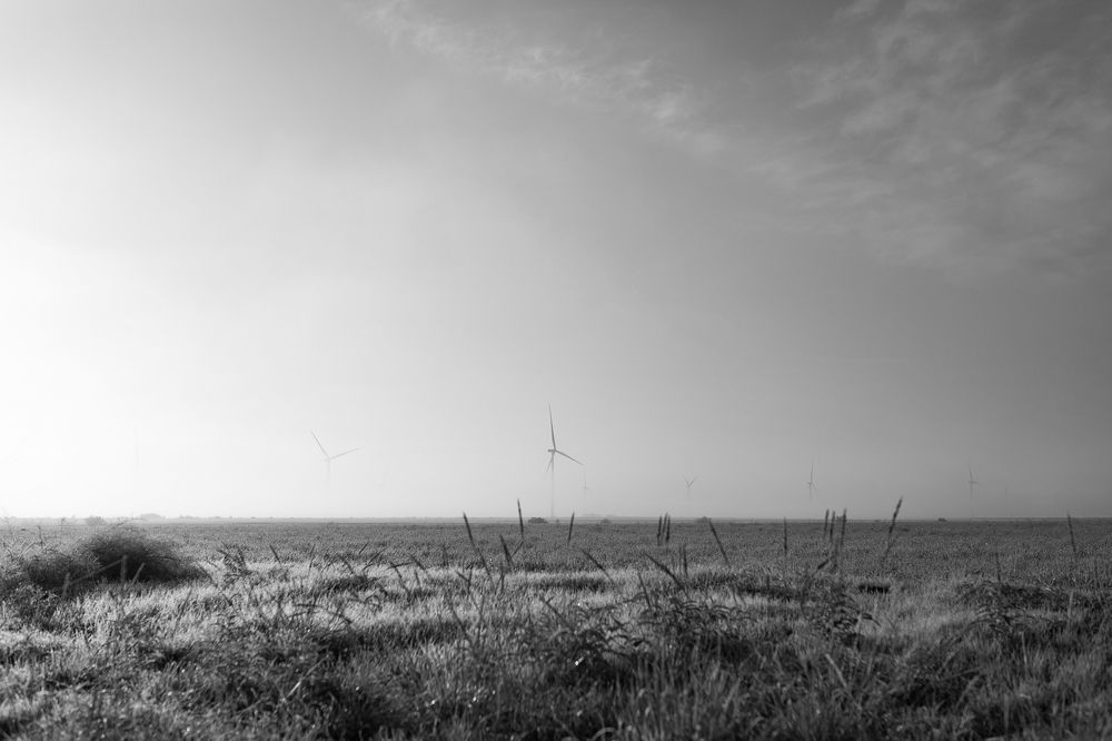 Photograph by Angie Perisse