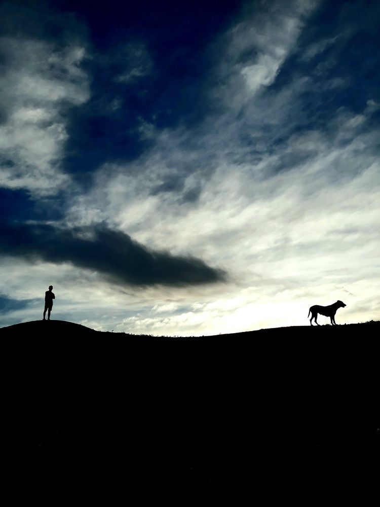 Photo #7796263