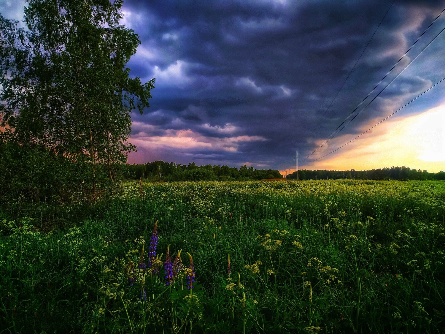 Photo #7796276