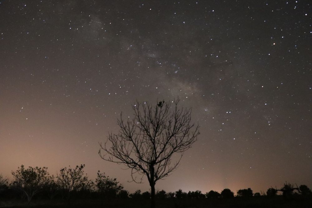 Photograph by Behnam Lohrasebi