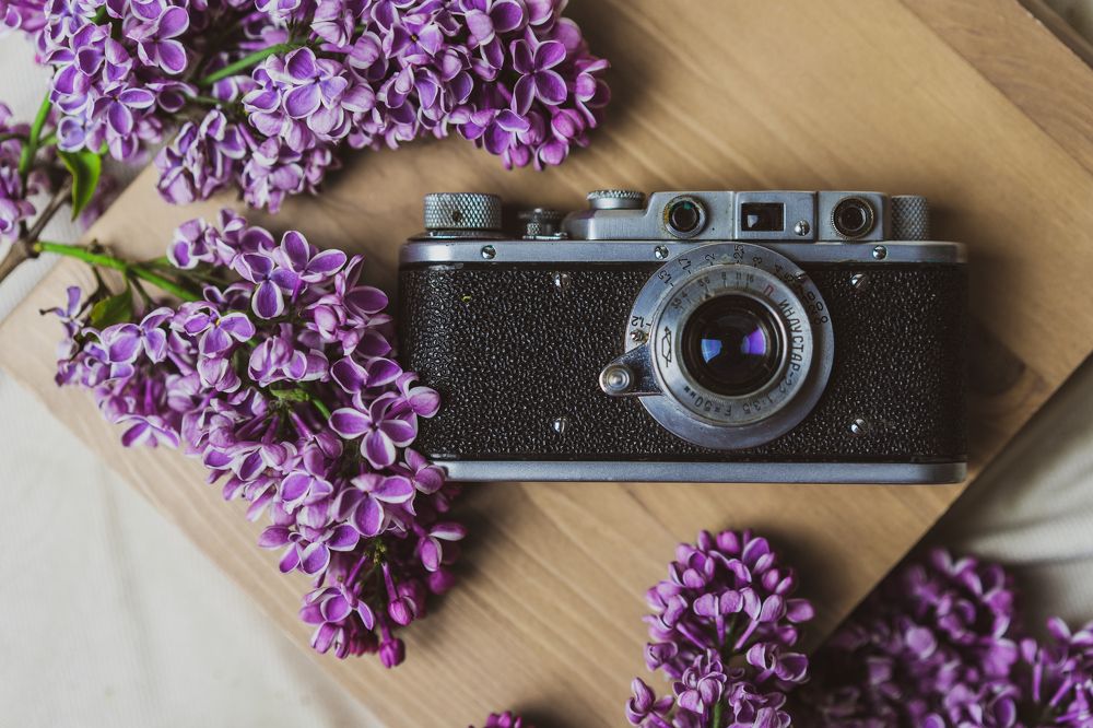 Фотография автора Василиса Новикова