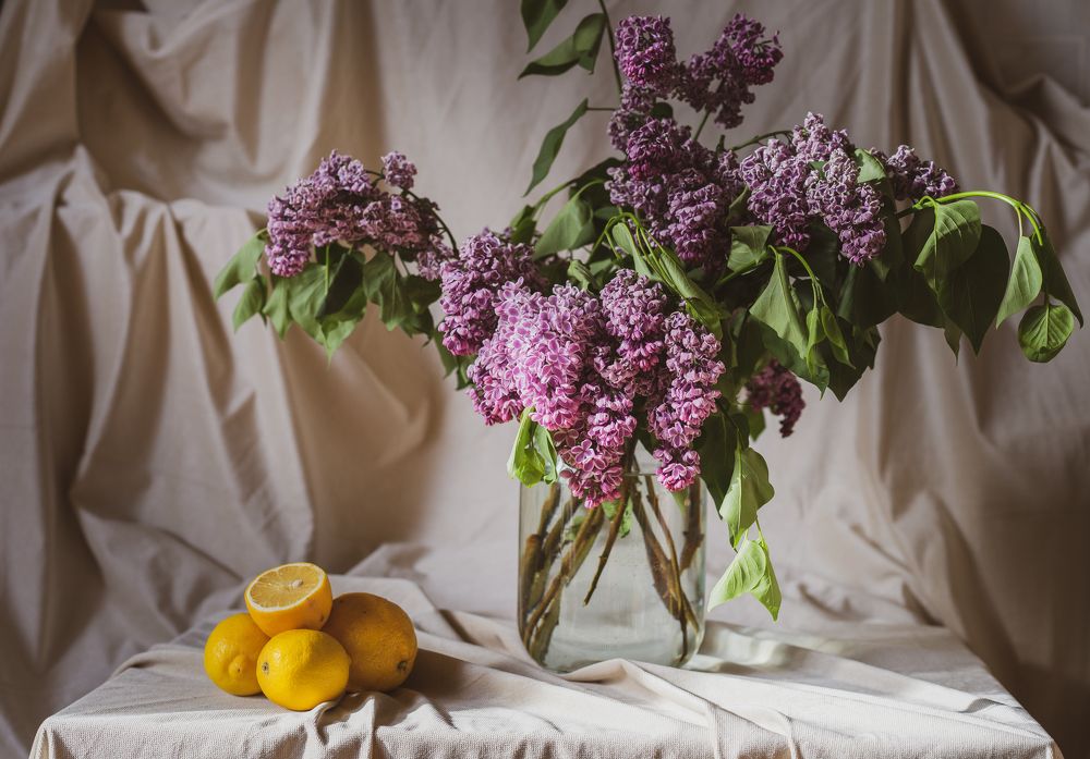 Photograph by Василиса Новикова