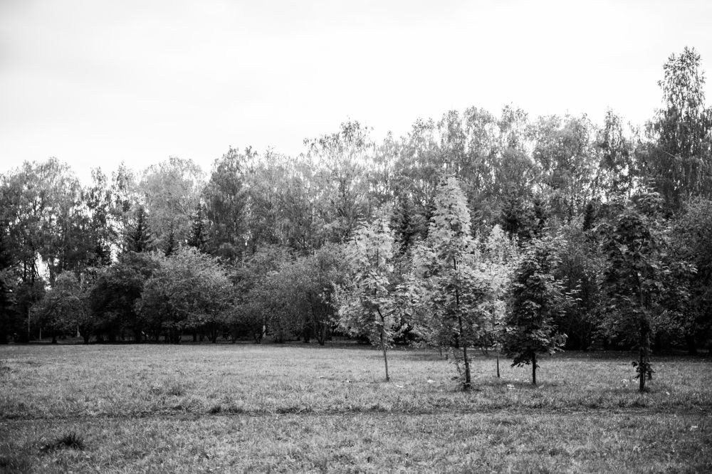 Photograph by 