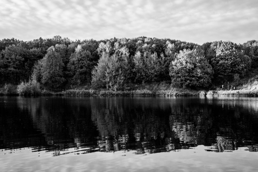 Фотография автора Василиса Новикова