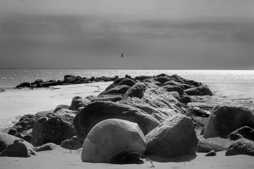 Photograph by Инна Карасева