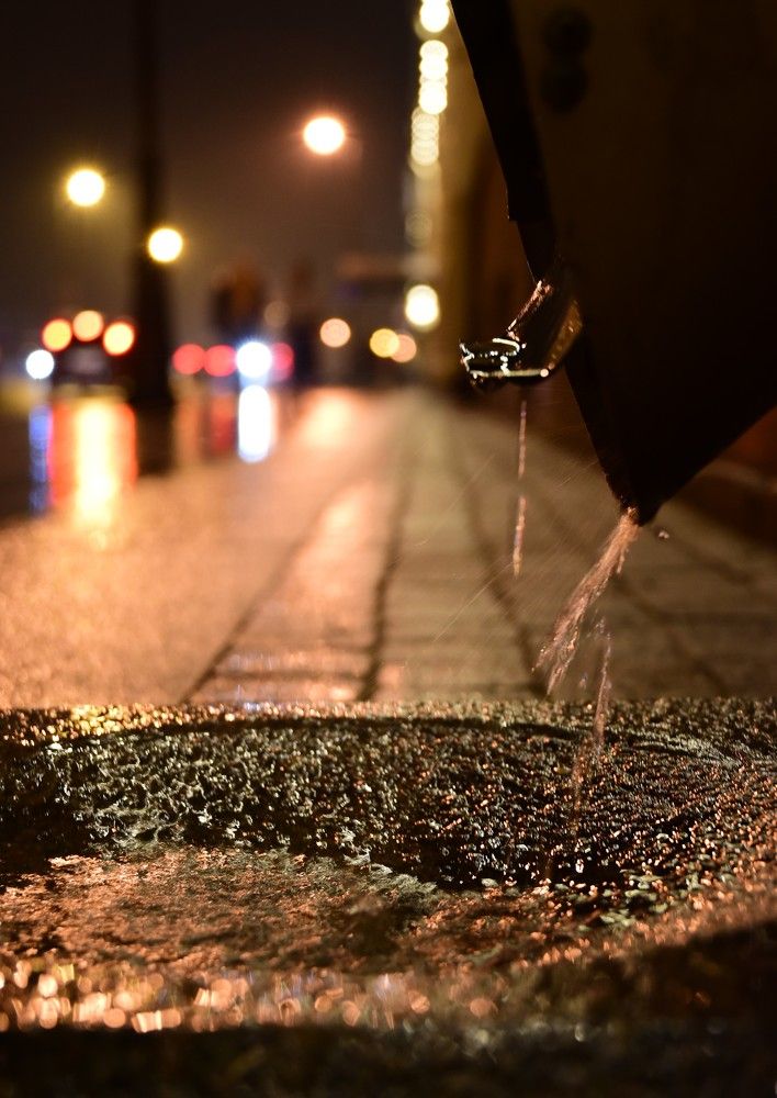 Фотография автора Рохмистрова Мария