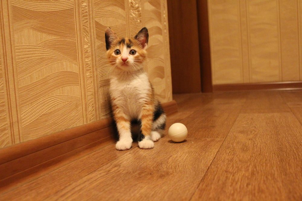 Photograph by Виталий