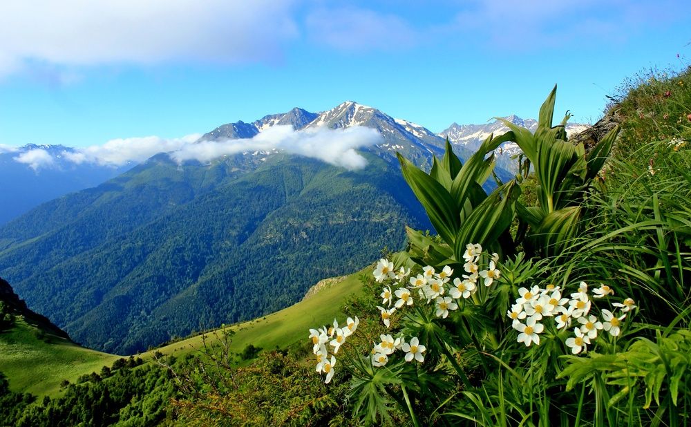 Photograph by Сергей Смоленцев