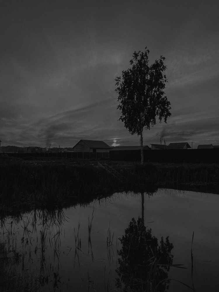 Photograph by Elena Novikova