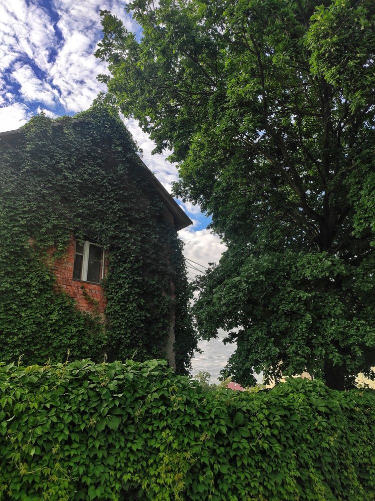 Photograph by Надежда