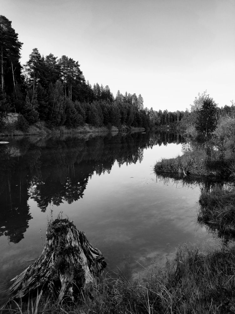 Photograph by Elena Novikova