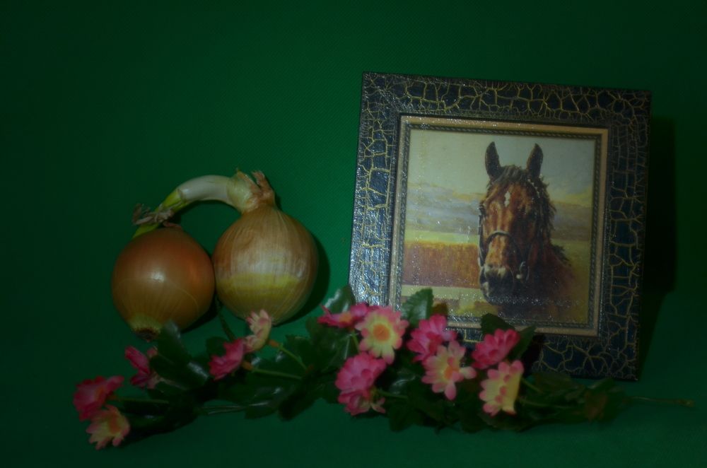 Photograph by Роман Туркин