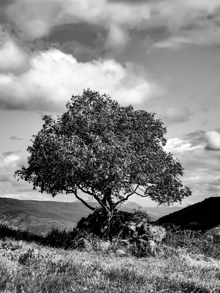Фотография автора Дмитрий Лебедь