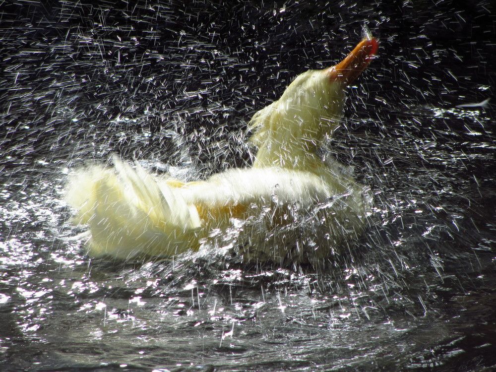 Photograph by Buket Demirel