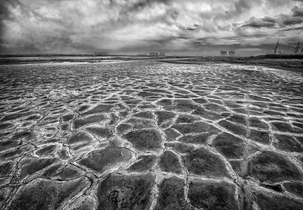 Photograph by Mario Fiorucci