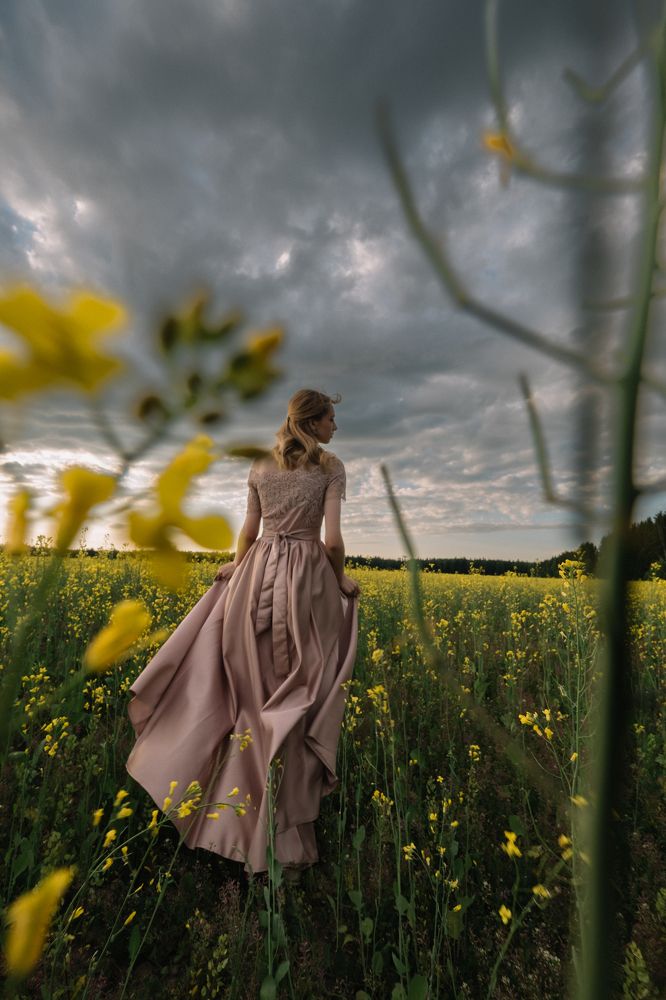 Рапсовое поле