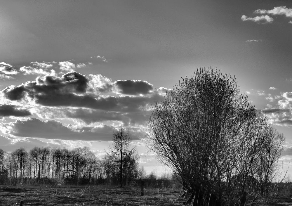 Photograph by Волкова Владимира
