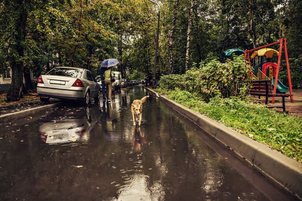 Photograph by Ksenia Kouri