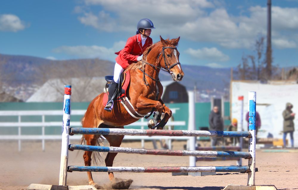 Photograph by Геннадий Лосев