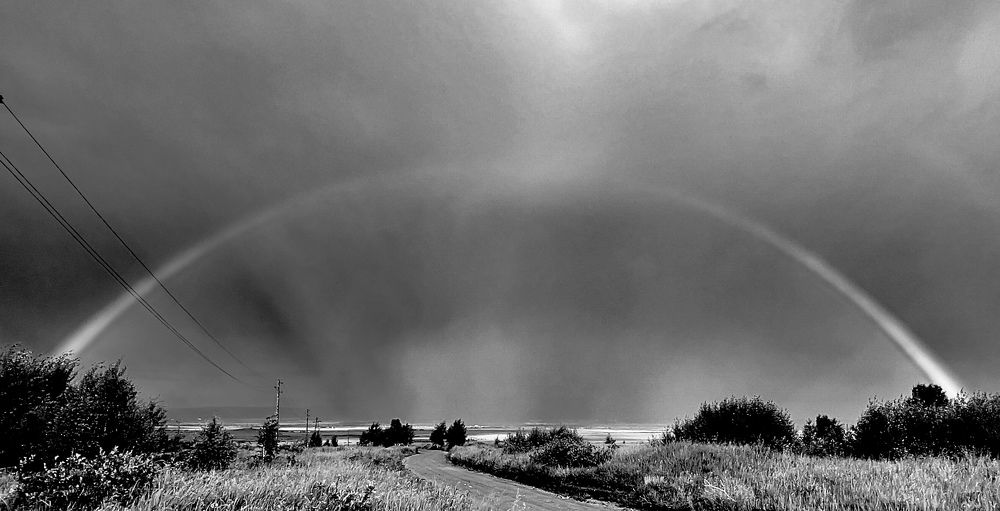 Photograph by Елена Мизина