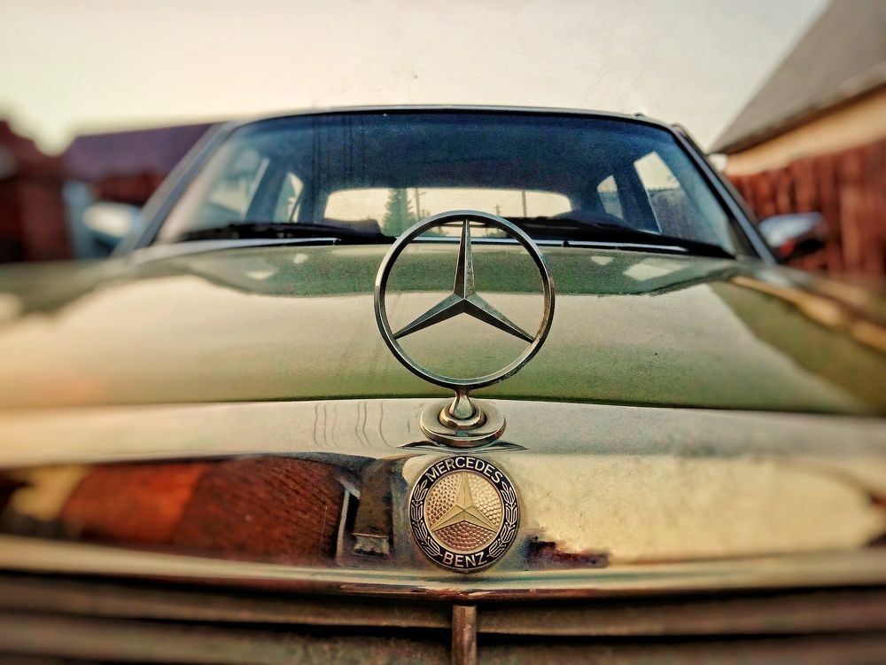 Photo #7797090