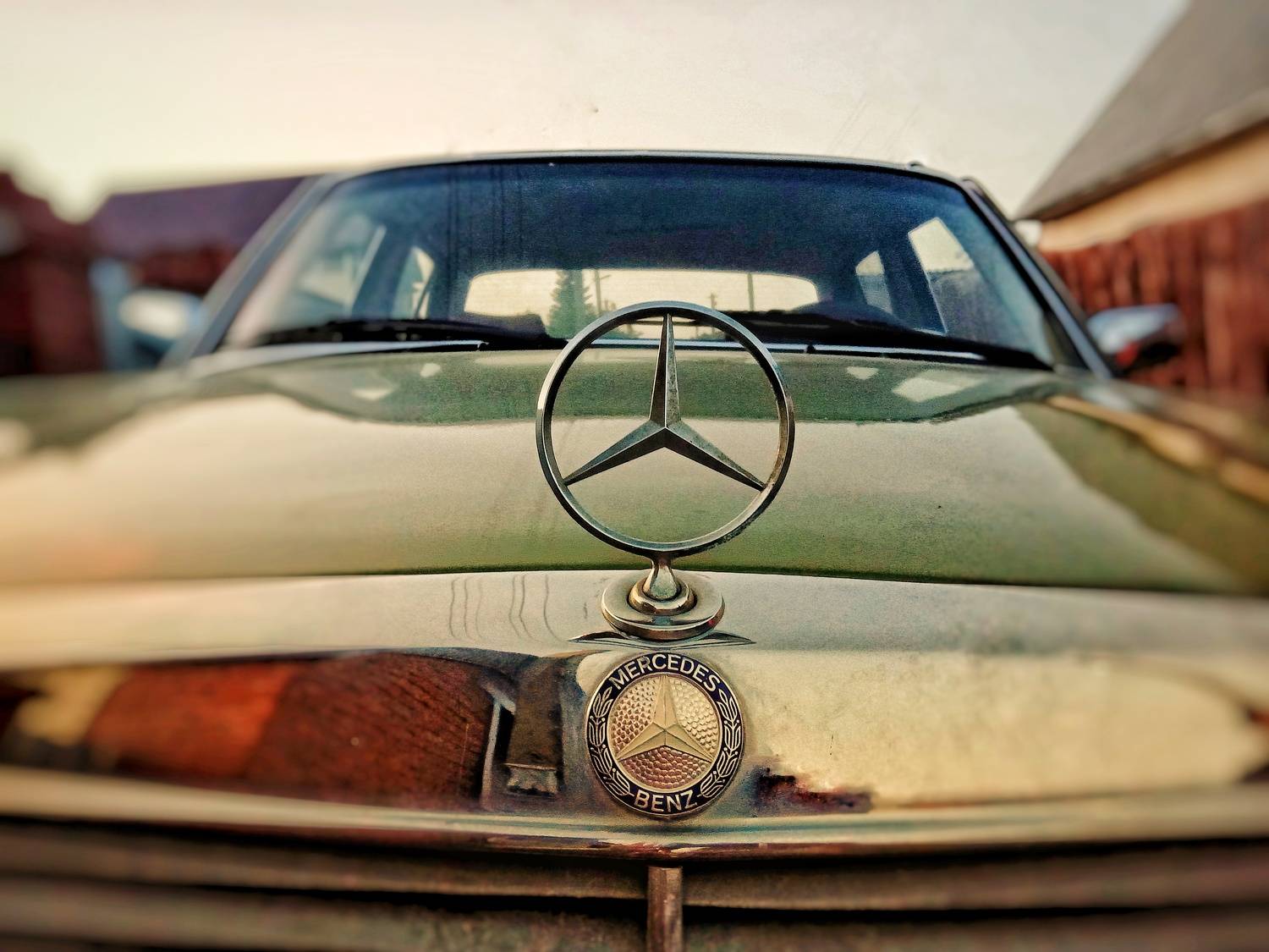 Photo #7797090